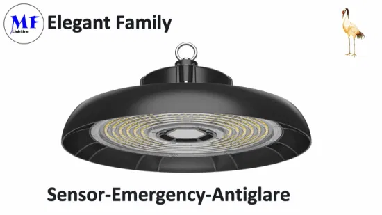 Highbay Light Warehouse Light UFO Lights Fixture 100W 150W 200W 150lm/W IP66 Factory Price High Bay Light